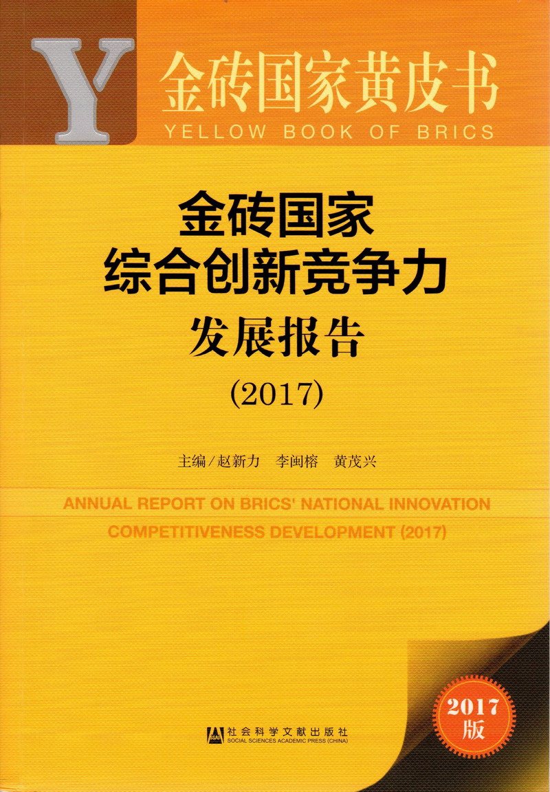 男人插女人逼的视频免费看字幕金砖国家综合创新竞争力发展报告（2017）